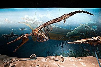 动视宣布 将于下周提供《使命召唤：黑色行动6》的7天免费试玩